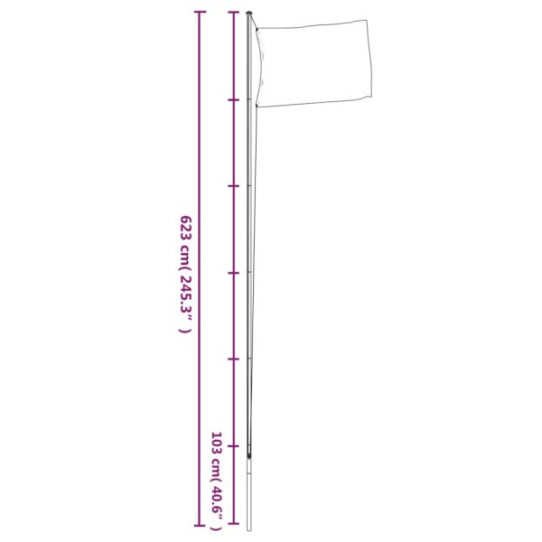 Mástil de bandera modular aluminio plateado 6,23 m Mástil de bandera modular aluminio plateado 6,23 m