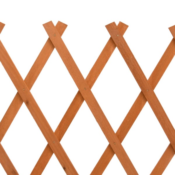 Valla de jardín enrejada madera maciza abeto naranja 150x80 cm Valla de jardín enrejada madera maciza abeto naranja 150x80 cm