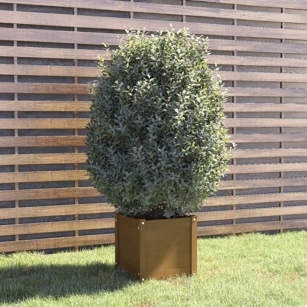 Jardinera de madera maciza de pino marrón 40x40x40 cm Jardinera de madera maciza de pino marrón 40x40x40 cm