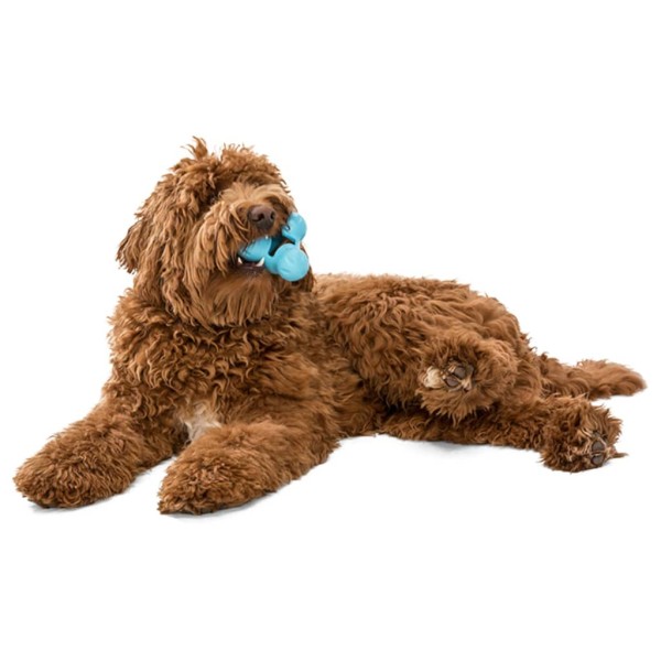 West Paw Juguete para perros con Zogoflex Tux azul aguamarina S West Paw Juguete para perros con Zogoflex Tux azul aguamarina S
