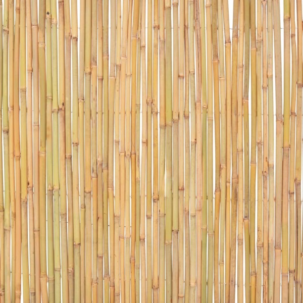 Valla de bambú 300x100 cm Valla de bambú 300x100 cm