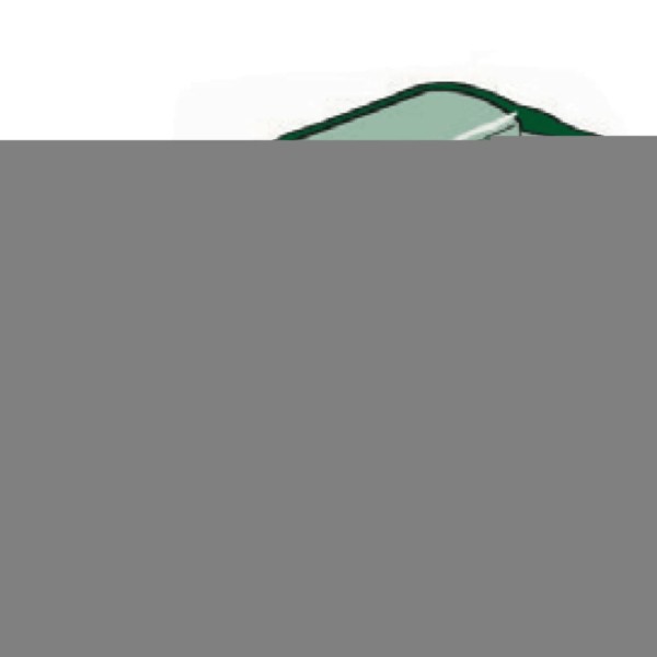 Nature Funda protectora para barbacoas de gas 165x90x63 cm Nature Funda protectora para barbacoas de gas 165x90x63 cm