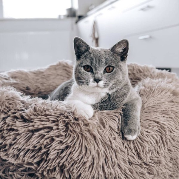 DISTRICT70 Cama para mascotas FUZZ arena S DISTRICT70 Cama para mascotas FUZZ arena S