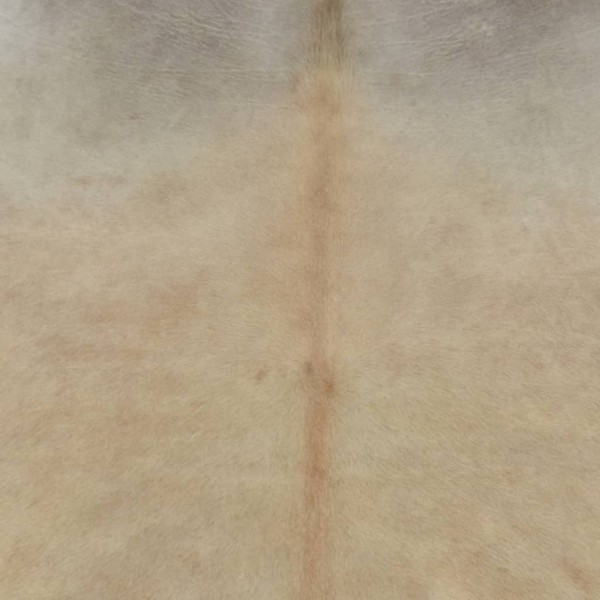 Alfombra de piel de vaca auténtica beige 180x220 cm Alfombra de piel de vaca auténtica beige 180x220 cm