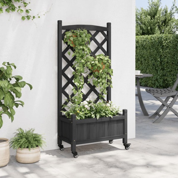 Jardinera con enrejado y ruedas madera maciza de abeto negro Jardinera con enrejado y ruedas madera maciza de abeto negro