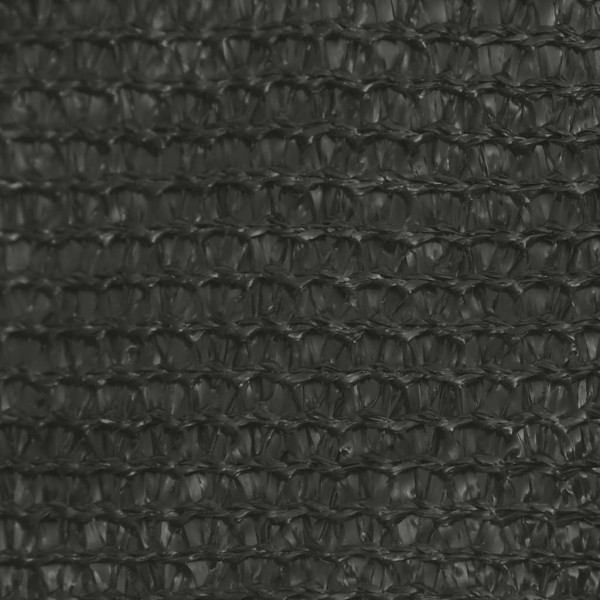 Toldo de vela gris antracita HDPE 160 g/m² 2,5x3 m Toldo de vela gris antracita HDPE 160 g/m² 2,5x3 m