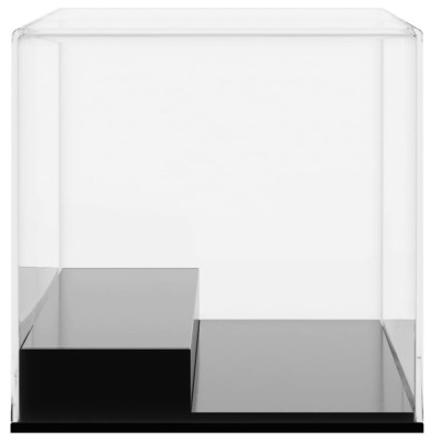 Caja de exposición acrílico transparente 19,5x8,5x8,5 cm Caja de exposición acrílico transparente 19,5x8,5x8,5 cm