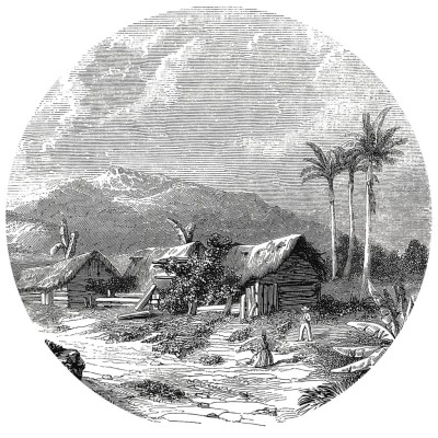 WallArt Círculo de papel pintado Landscape of Guadeloupe 190 cm WallArt Círculo de papel pintado Landscape of Guadeloupe 190 cm