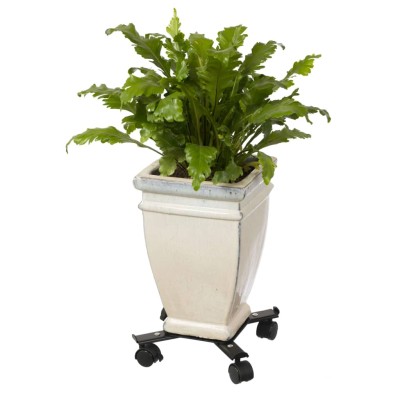 Nature Carrito para plantas ajustable 4 brazos netal negro Nature Carrito para plantas ajustable 4 brazos netal negro