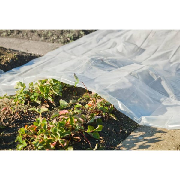 Nature Cobertor para plantas transparente 3x4 m 100µ Nature Cobertor para plantas transparente 3x4 m 100µ