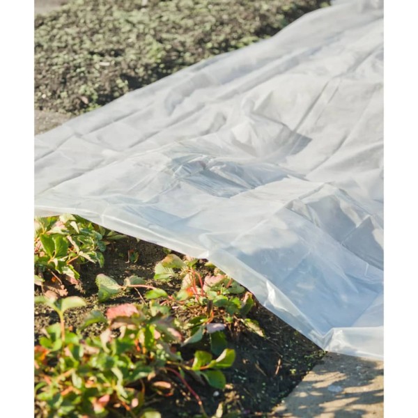 Nature Cobertor para plantas transparente 3x4 m 100µ Nature Cobertor para plantas transparente 3x4 m 100µ
