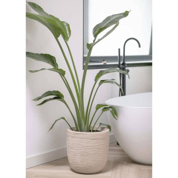 Capi Macetero Waste Rib beige terrazo 43x41 cm Capi Macetero Waste Rib beige terrazo 43x41 cm
